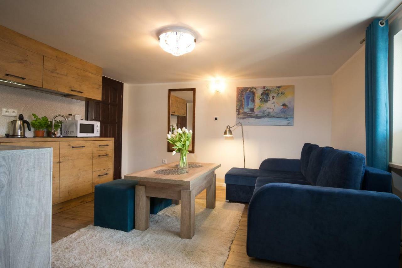 Apartamenty Ciche Wzgorze Закопане Екстер'єр фото
